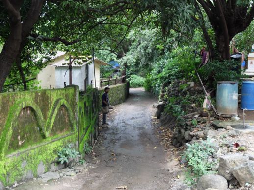 Image 7: One entry to Baman Dongri, contrasting with its surrounding environment