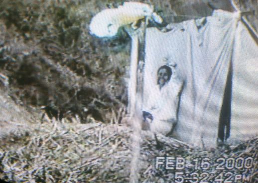 Images of the Escudero family home videos, days after the "invasión"