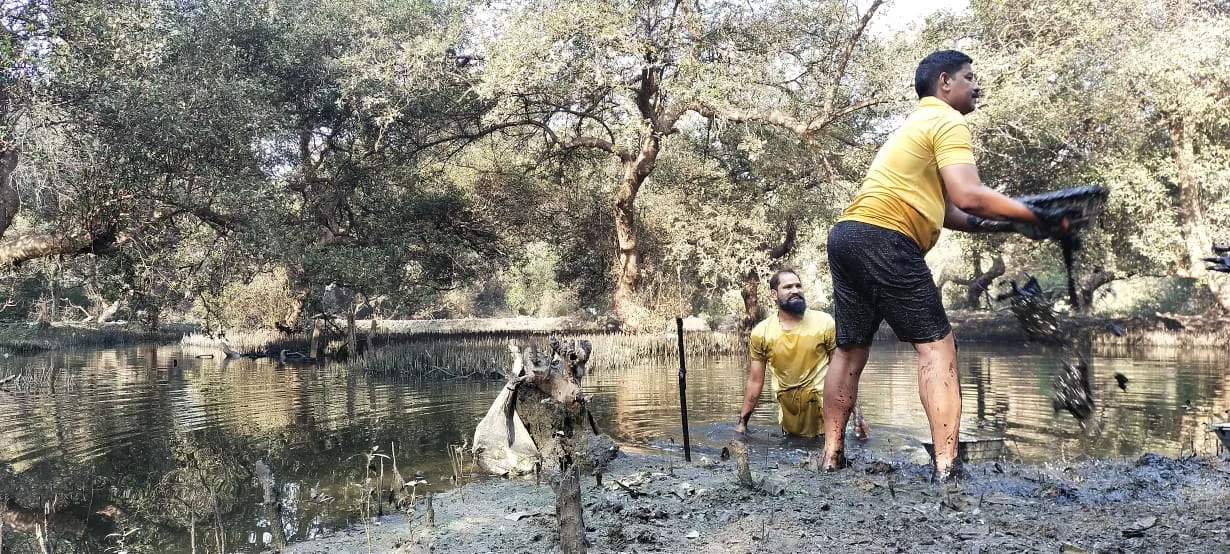 The ponds being manually dredged